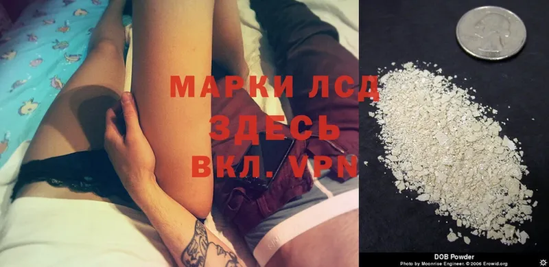 Где купить наркоту Дагестанские Огни Амфетамин  Альфа ПВП  Гашиш  Cocaine  МАРИХУАНА 