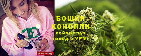 ГАЛЛЮЦИНОГЕННЫЕ ГРИБЫ Балахна