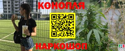 винт Бийск